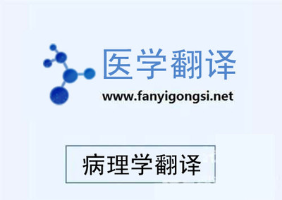 深圳溝通翻譯專業(yè)阿拉伯語(yǔ)翻譯-深圳市溝通翻譯提供深圳溝通翻譯專業(yè)阿拉伯語(yǔ)翻譯的相關(guān)介紹、產(chǎn)品、服務(wù)、圖片、價(jià)格語(yǔ)言翻譯、信息咨詢、電子軟件開(kāi)發(fā)、同傳設(shè)備租賃、少兒英語(yǔ)培訓(xùn)