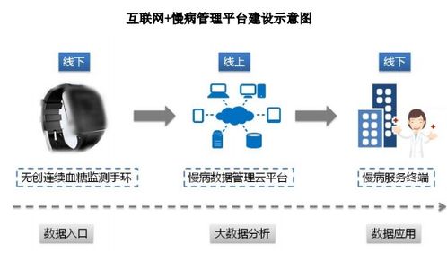 深圳思瀚管理咨詢 互聯(lián)網(wǎng) 慢病管理平臺(tái)及營(yíng)銷網(wǎng)絡(luò)建設(shè)項(xiàng)目可行性研究報(bào)告